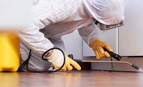 Real Estate Pest Inspections in Clifton Heights, PA